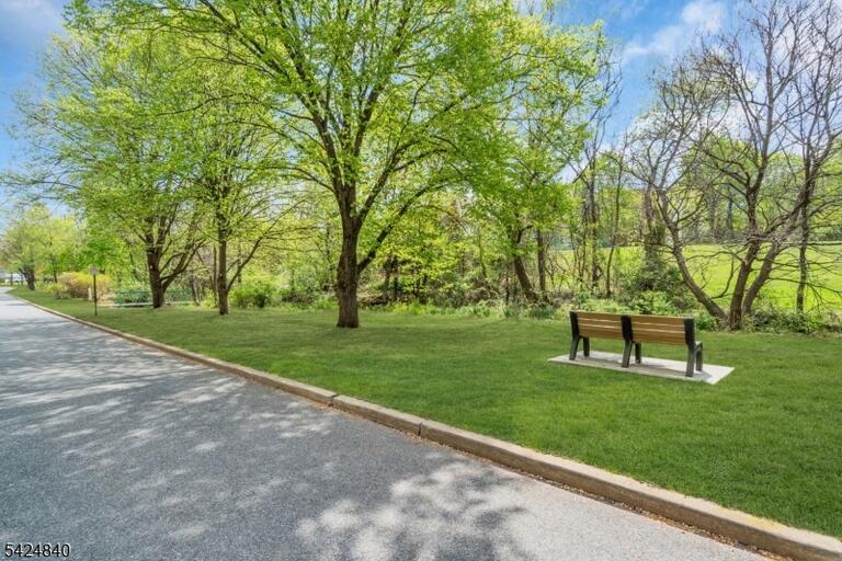 image-4022168-49.jpeg