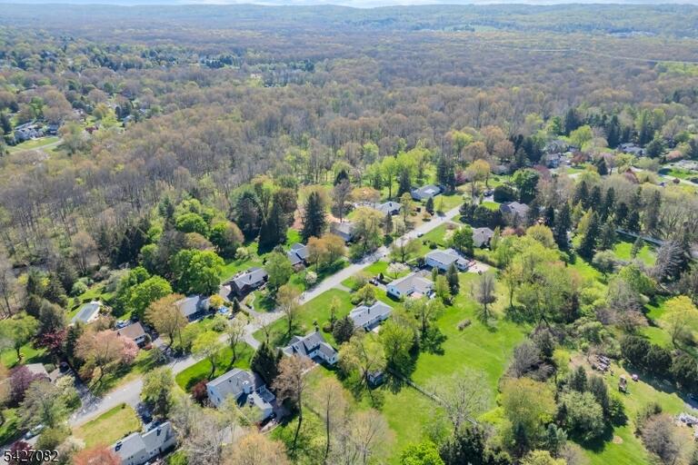 image-4024879-33.jpeg