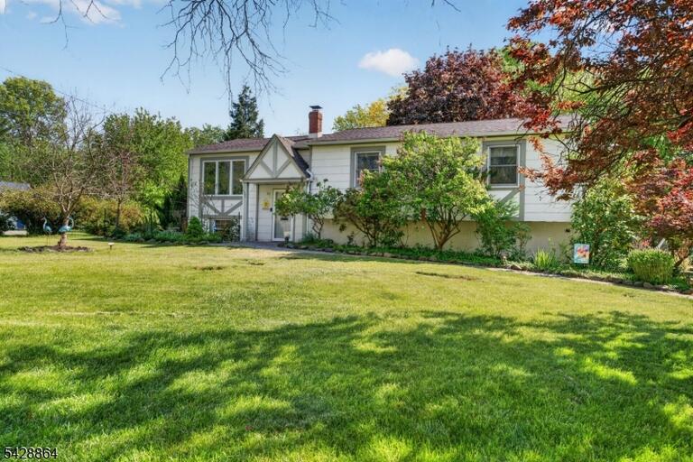 image-4024980-2.jpeg