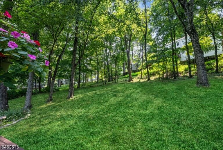 Property listing MLS 4047476 photo 33