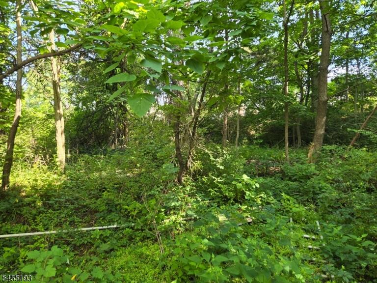 Property listing MLS 4048306 photo 3